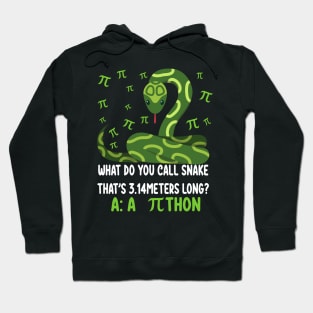 Funny Python Pithon Pi 3.14 Symbol Math Teacher Pi Day 2023 Hoodie